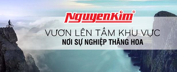 Nguyen Kim Trading-big-image